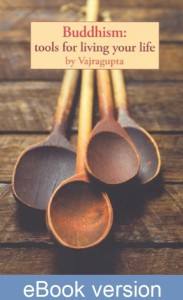 Buddhism: Tools for Living Your Life DRM-free eBook (epub & mobi formats) by Vajragupta