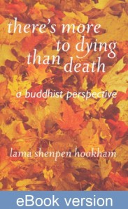 There's More to Dying Than Death DRM-free eBook (epub & mobi formats) by Shenpen Hookham
