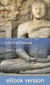 Perspectives on Satipatthana DRM-free eBook (epub & mobi formats) by Anālayo