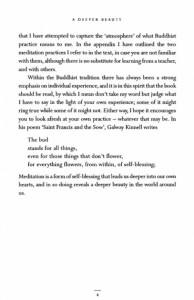 Introduction p4