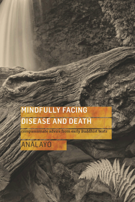 Mindfully Facing Disease and Death