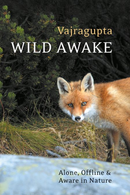 Wild Awake: Alone, Offline and Aware in Nature