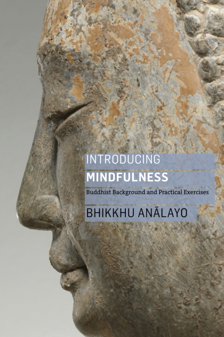 Introducing Mindfulness cover_FINAL
